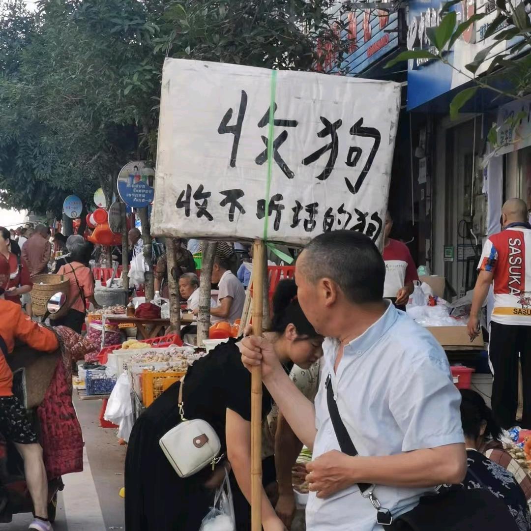 南歌,
