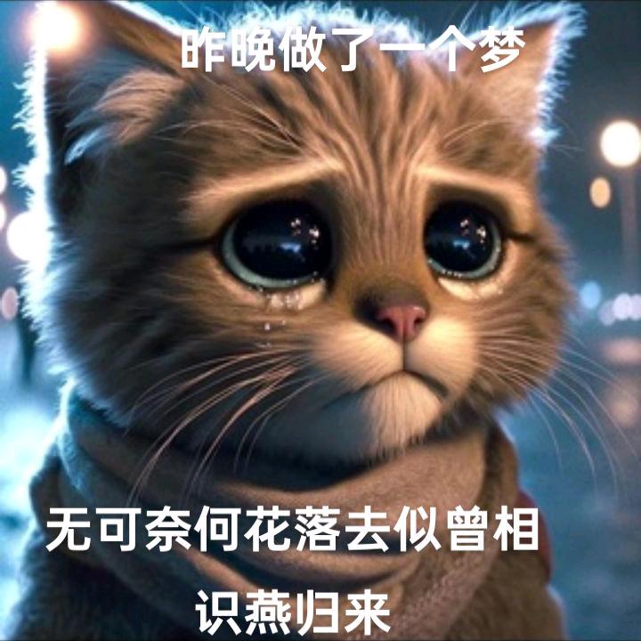 借酒封喉