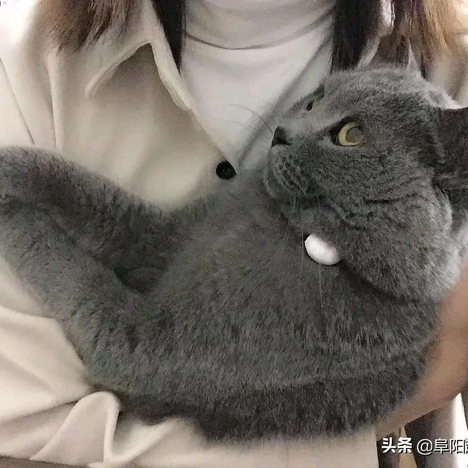 是芳芳啊