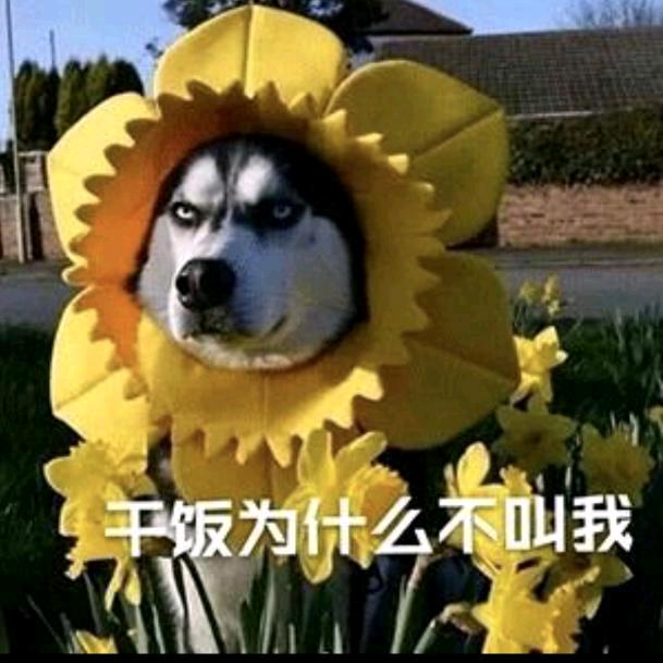 臭屁大王