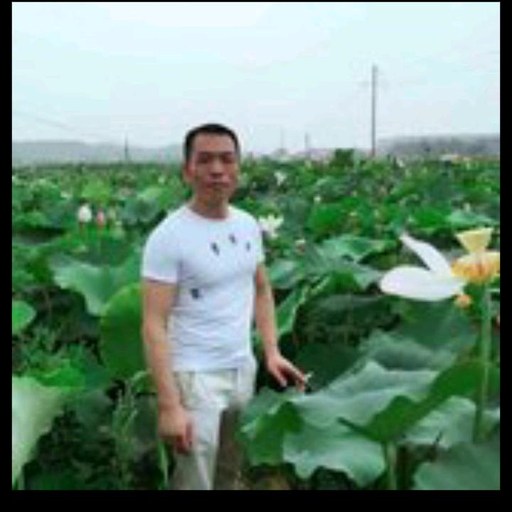 王老师