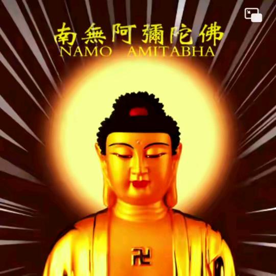 柠檬🍋🍋🍋🍋🍋