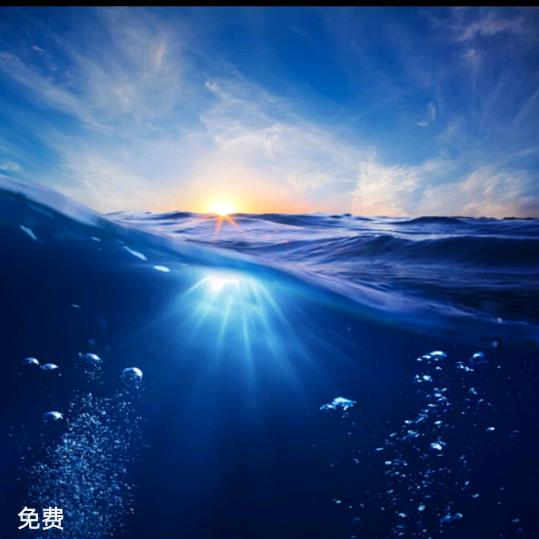 校哥(助力涨粉)