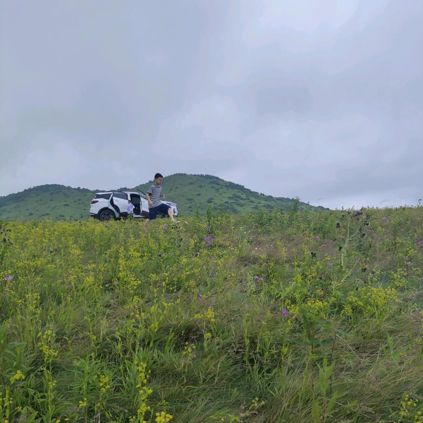 雨后、玫瑰