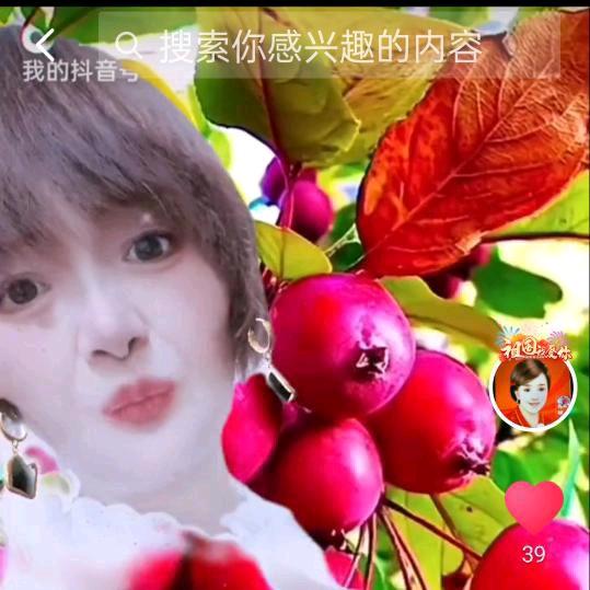 遂昌鲍姐姐
