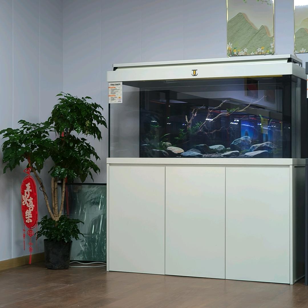 自然景观生态鱼缸天津润龙水族