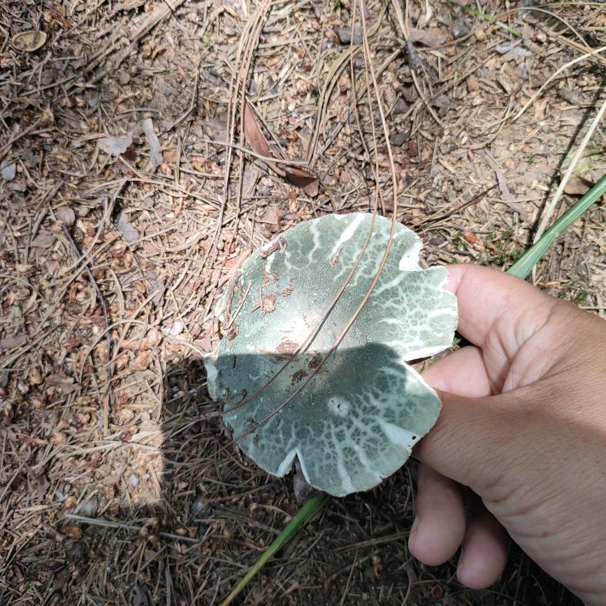 慧海无边
