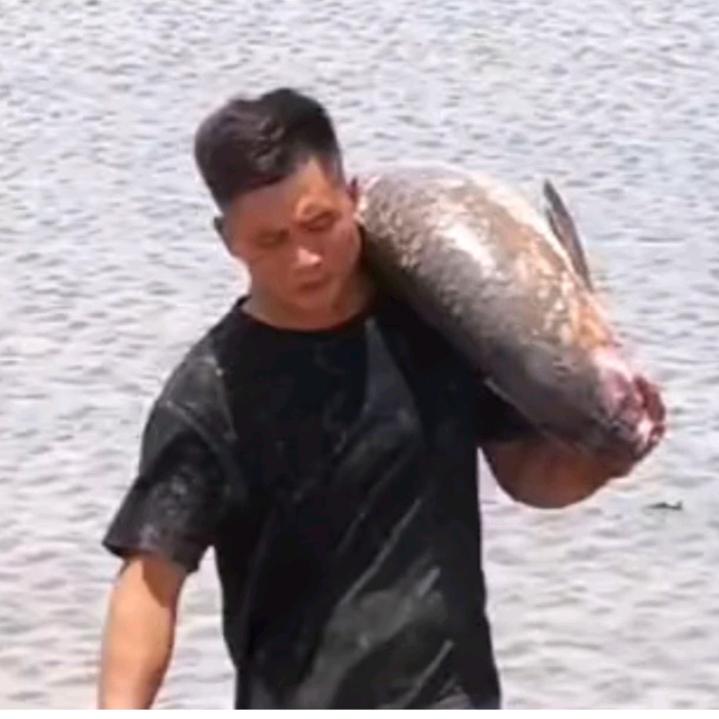 钱塘轮胎哥