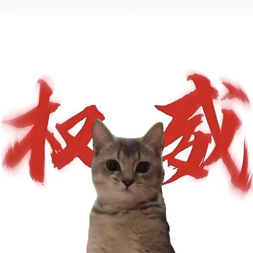 风筝与风