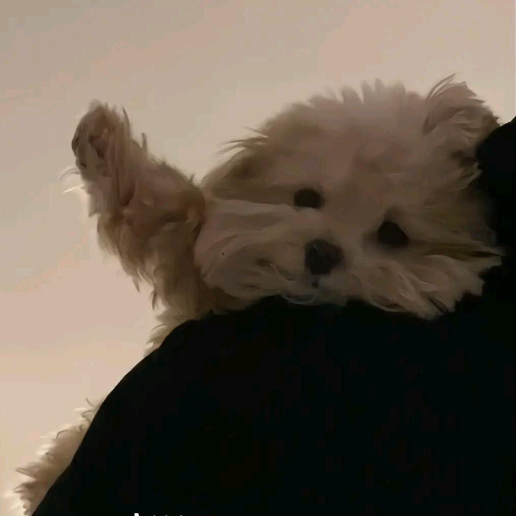柒