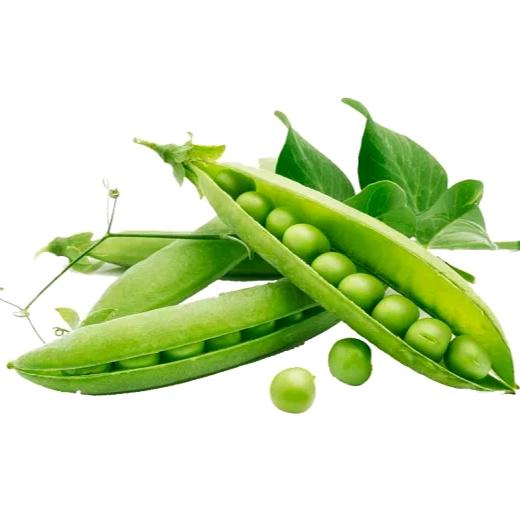 大德广告（豆角文化）