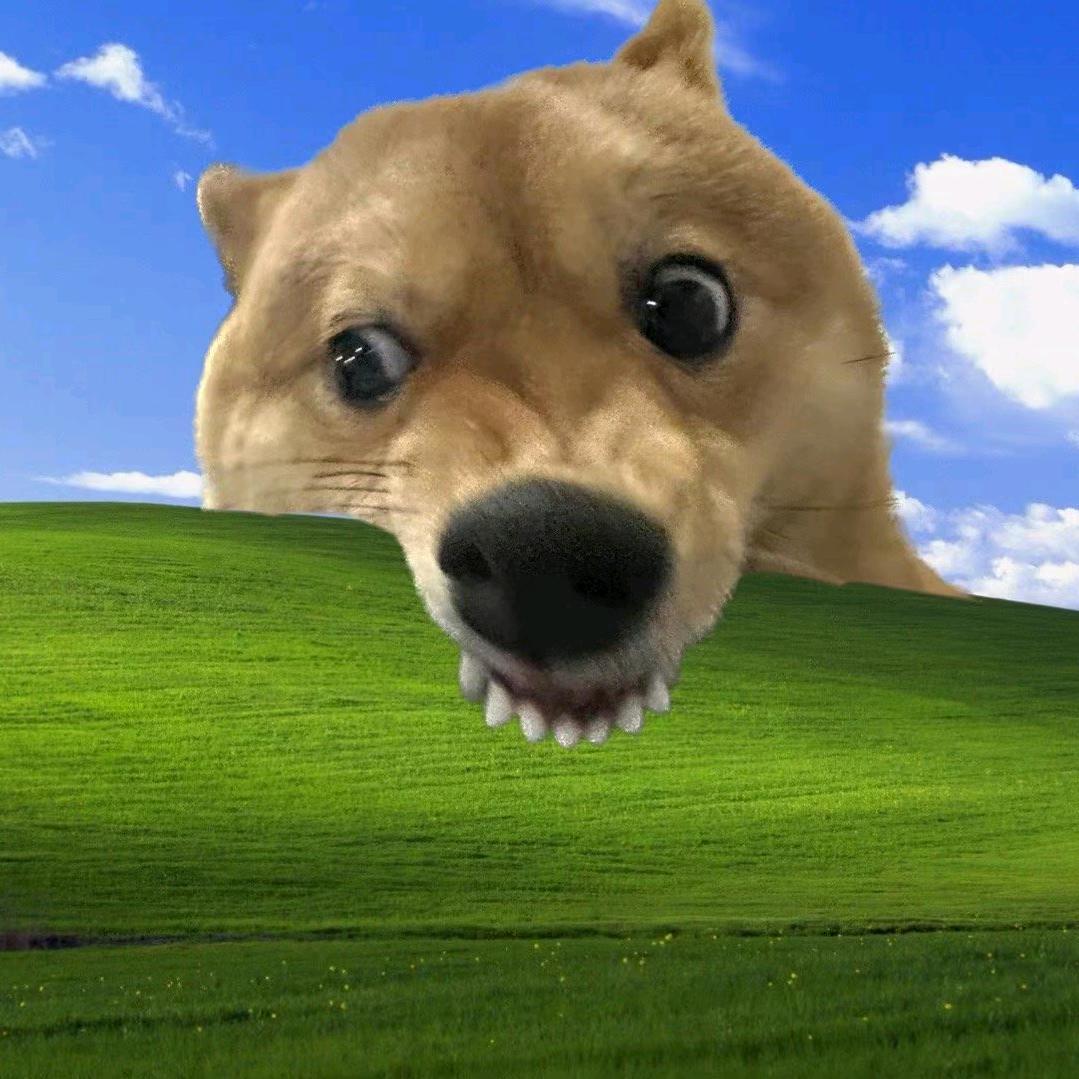 净。