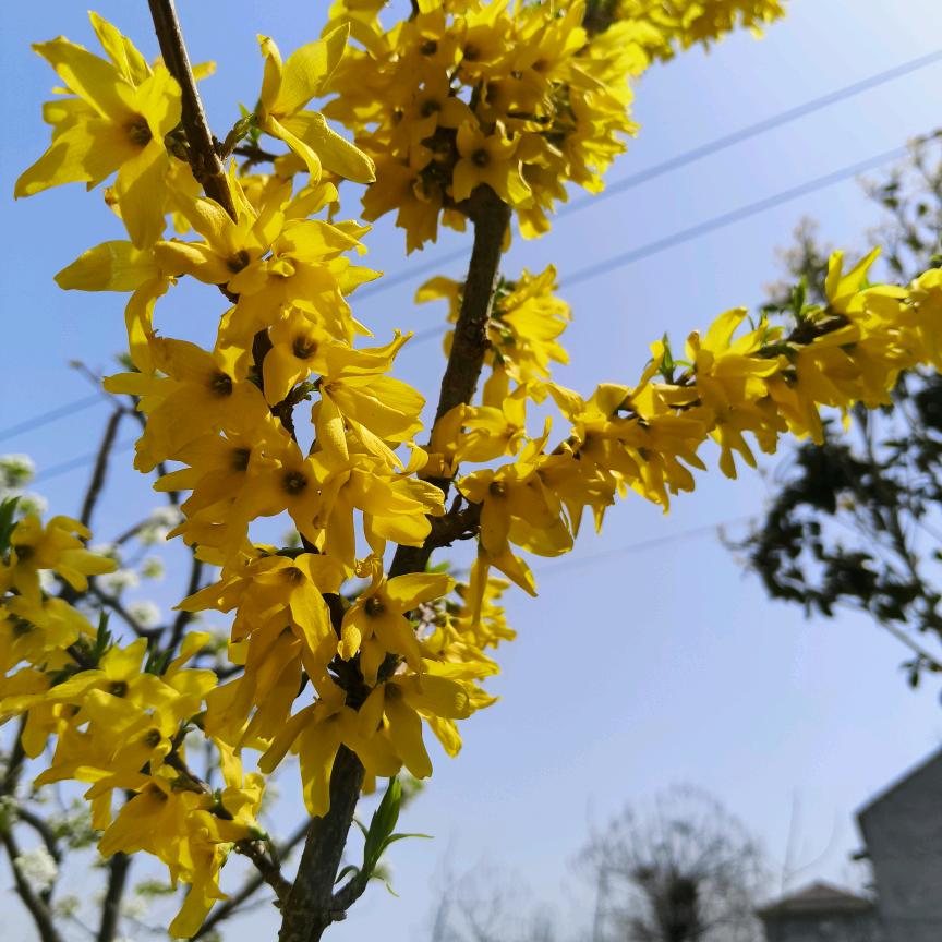 🌴🌴🌴🌻🌻