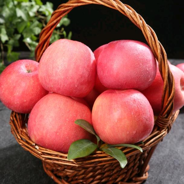 （三农）倩倩妈