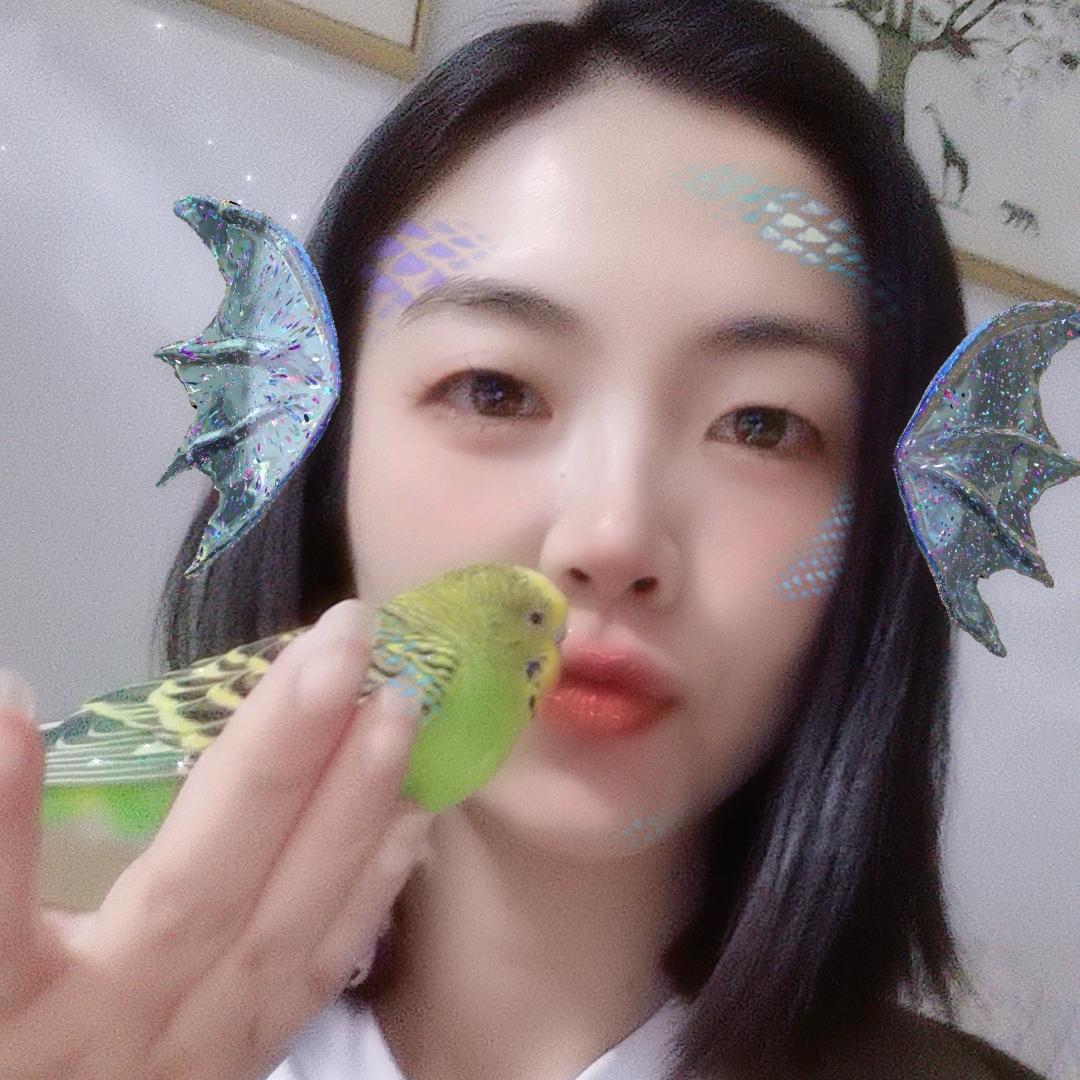格格马的talk鹦鹉小非凡🐦