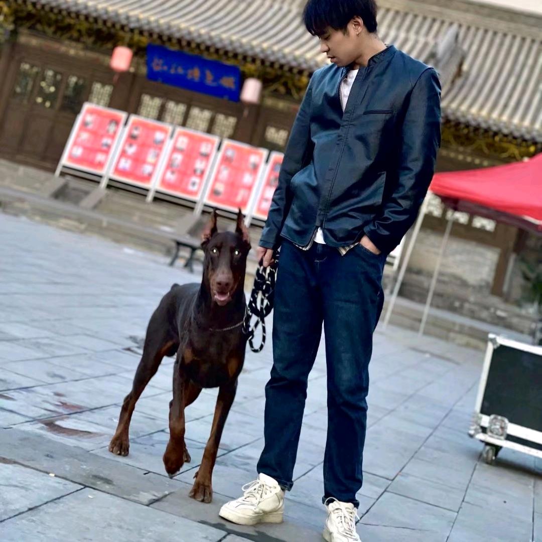 请叫我饼干呀