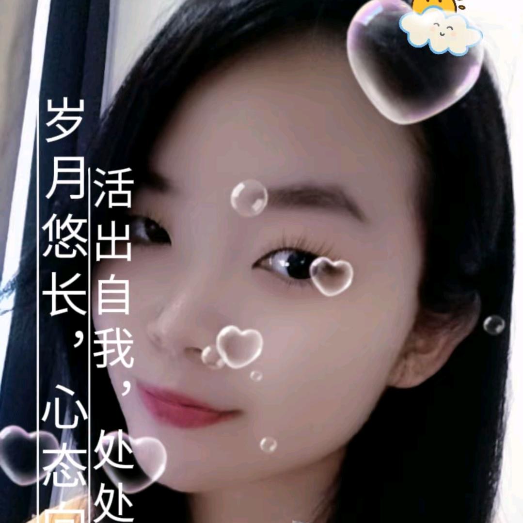 一只想飞的猫