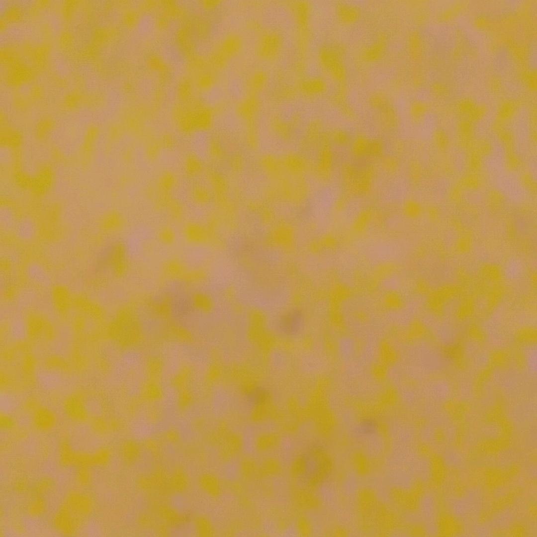 人生