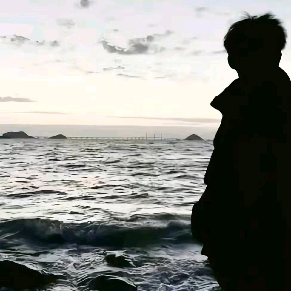 一网⭐️情愿