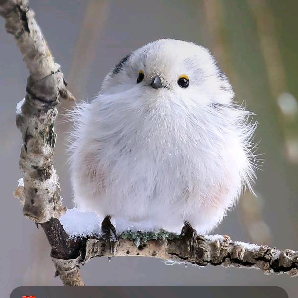安静