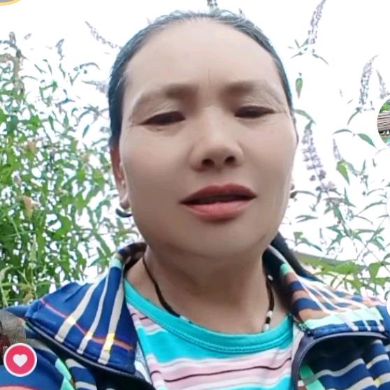 过好每一天《刘》