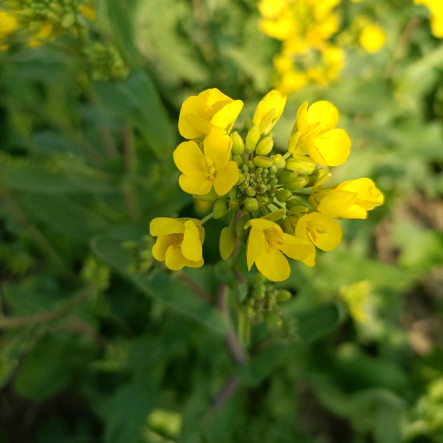 勇往直前5749886887634