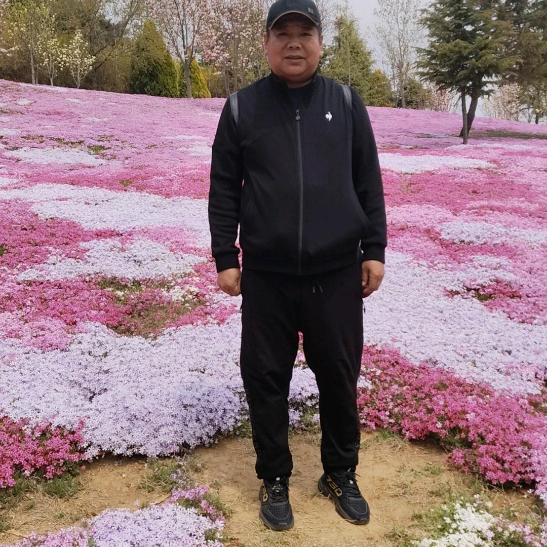 飞梦fm