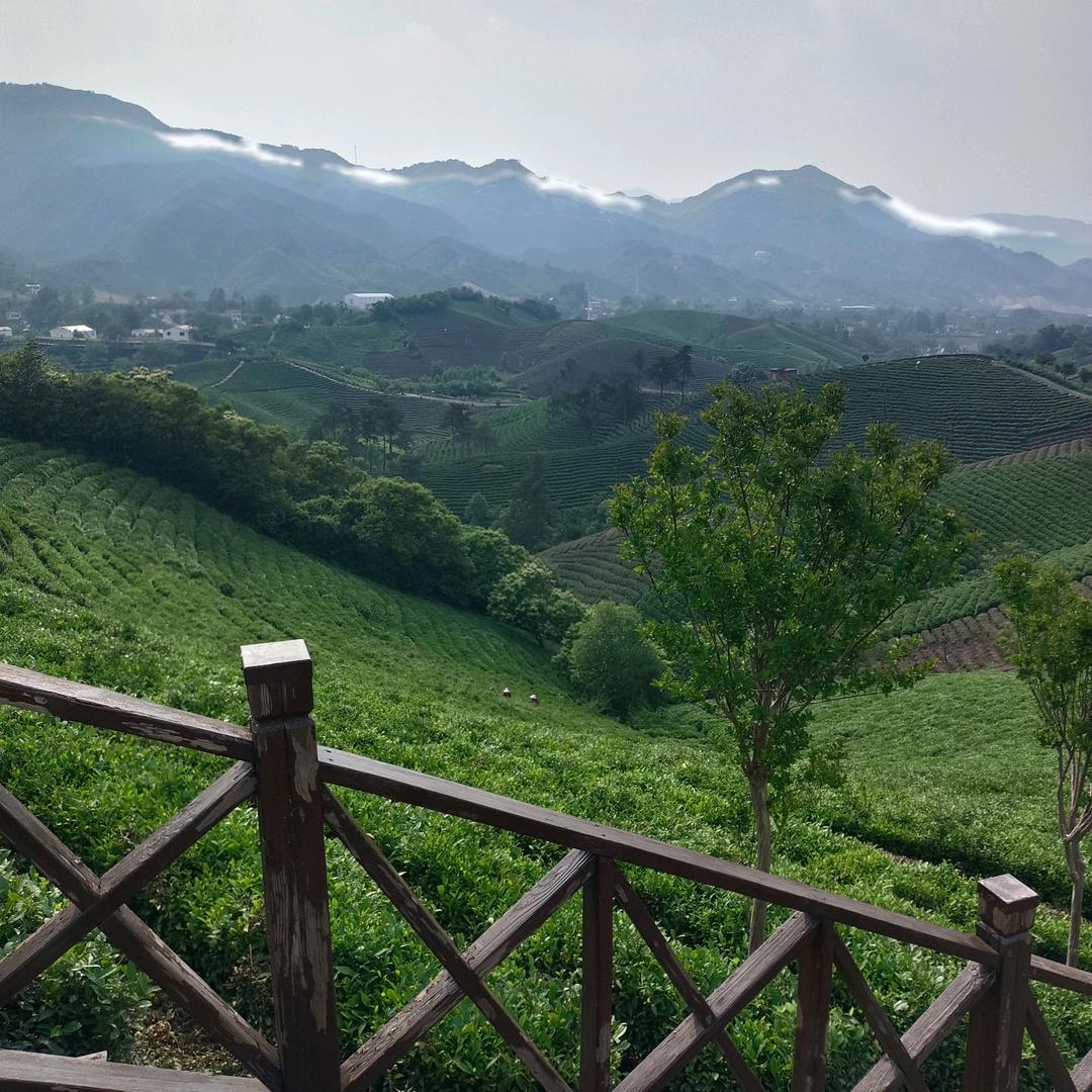 霞姐爱心❤❤❤❤❤