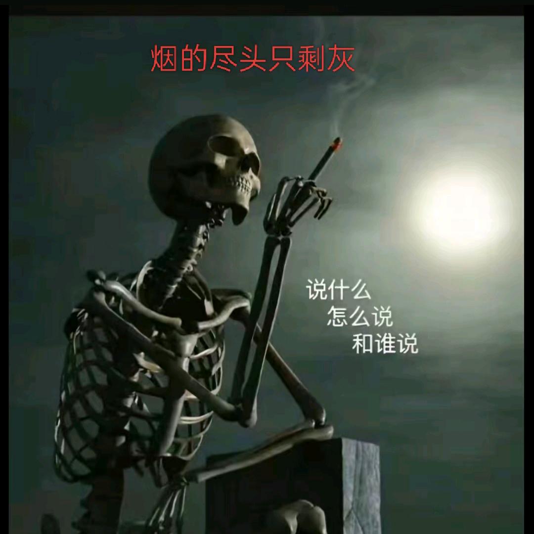 烟的尽头只剩灰