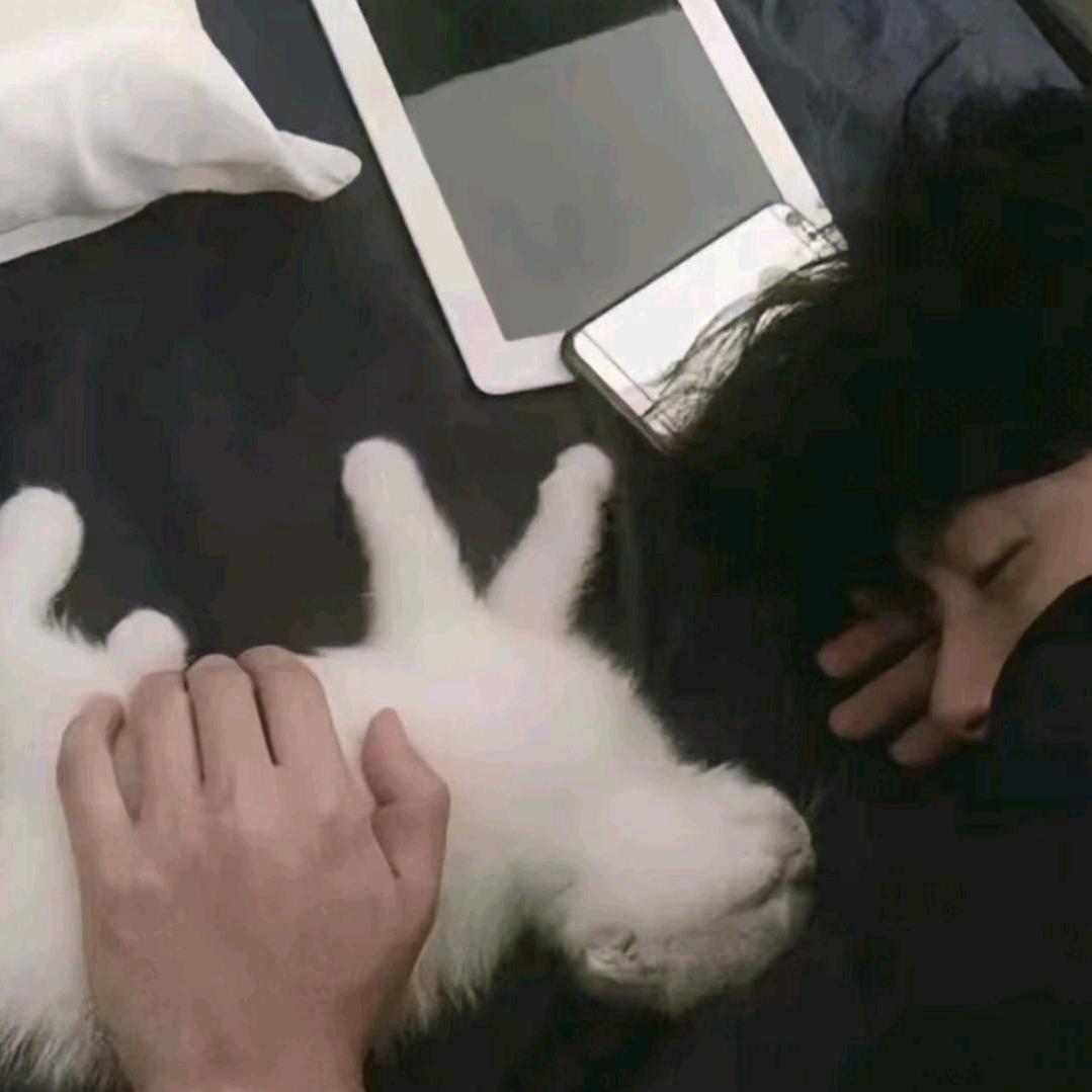 祈愿爱有回音