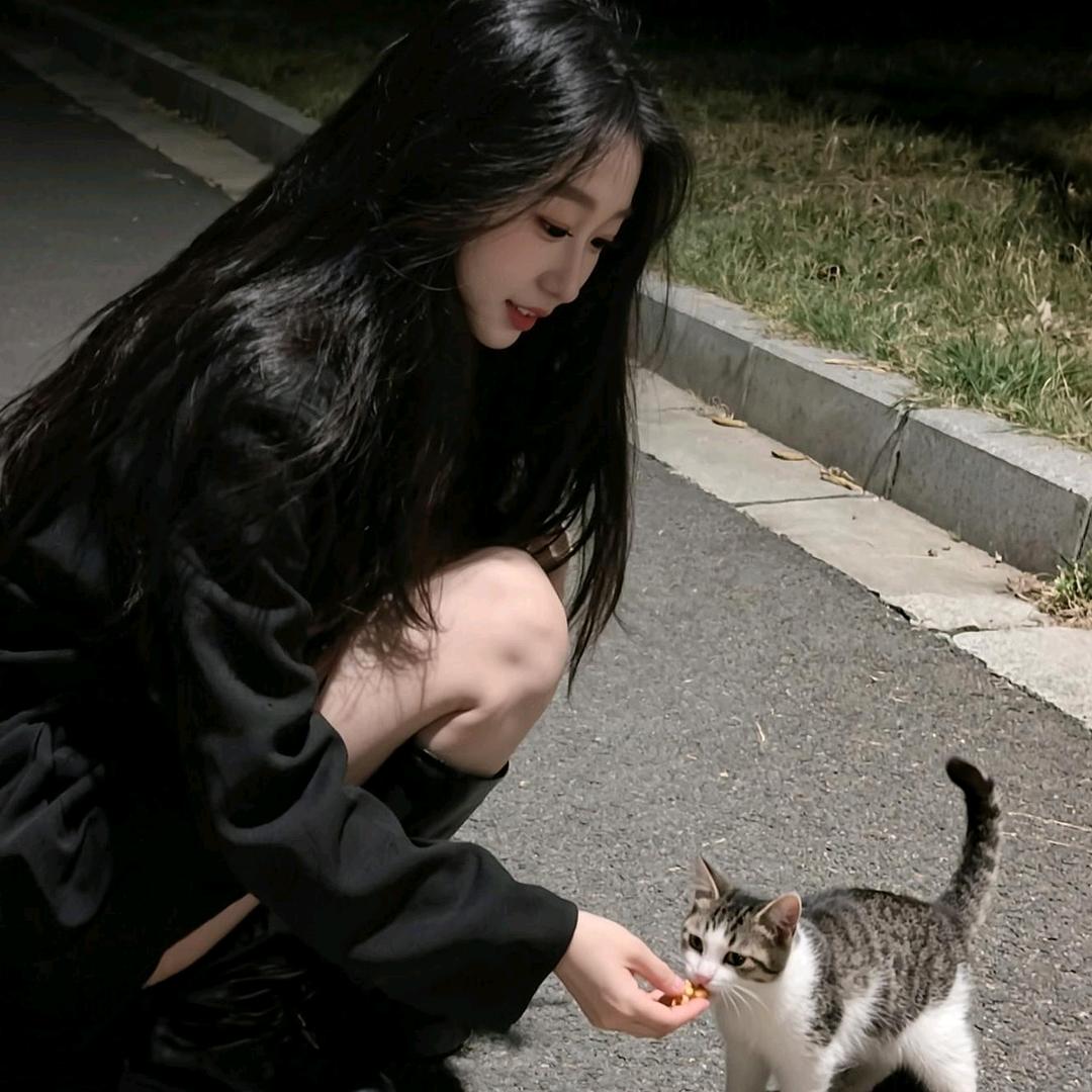城南花开