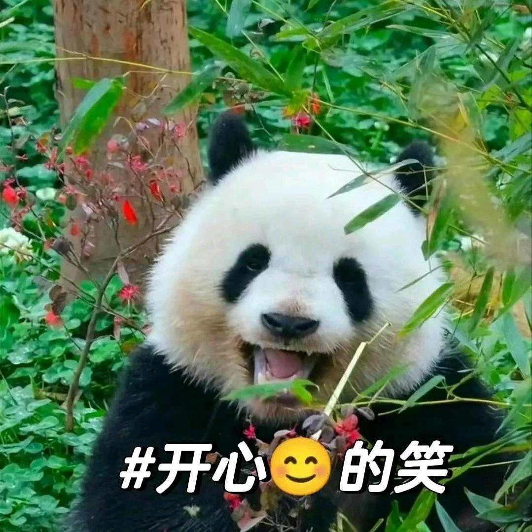 哒哒哒头像