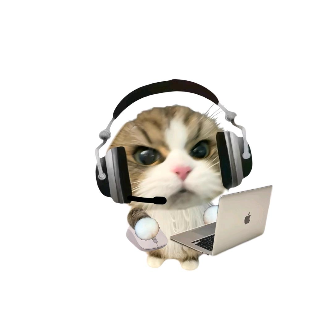 猫meme故事汇
