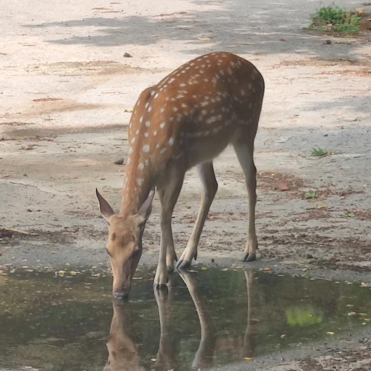 呦呦呦呦
