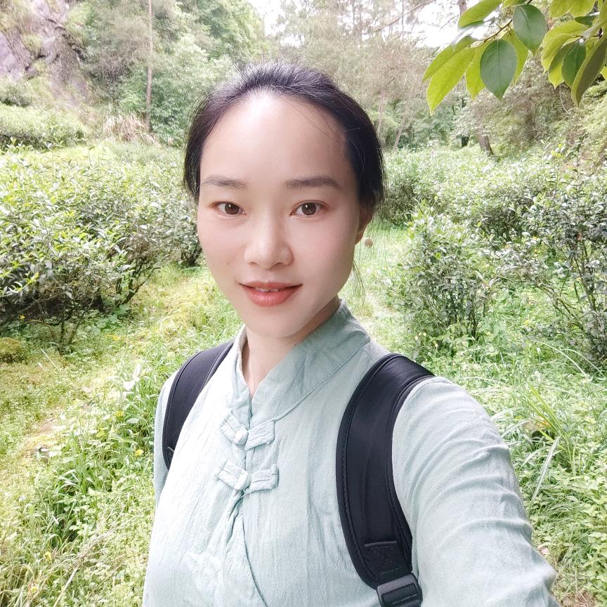 武夷寻茶-清莲茶叶
