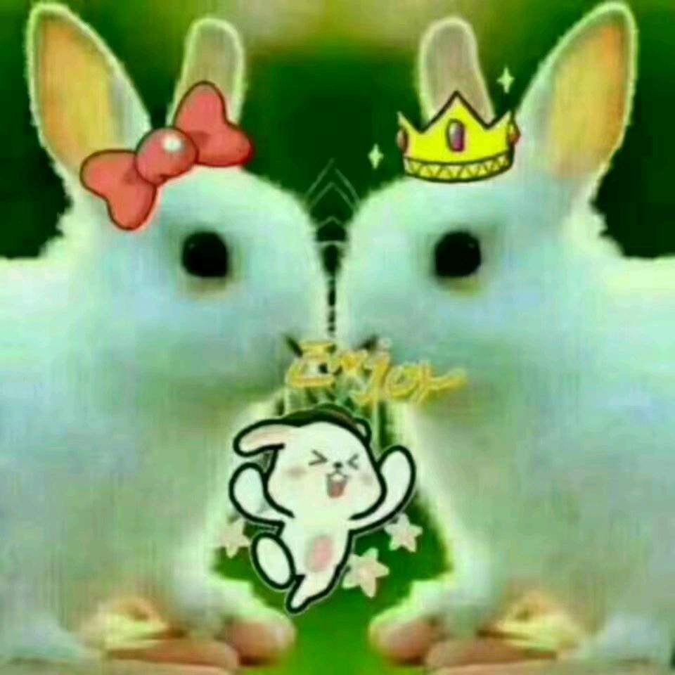 浪漫一生陕西咸阳淳化