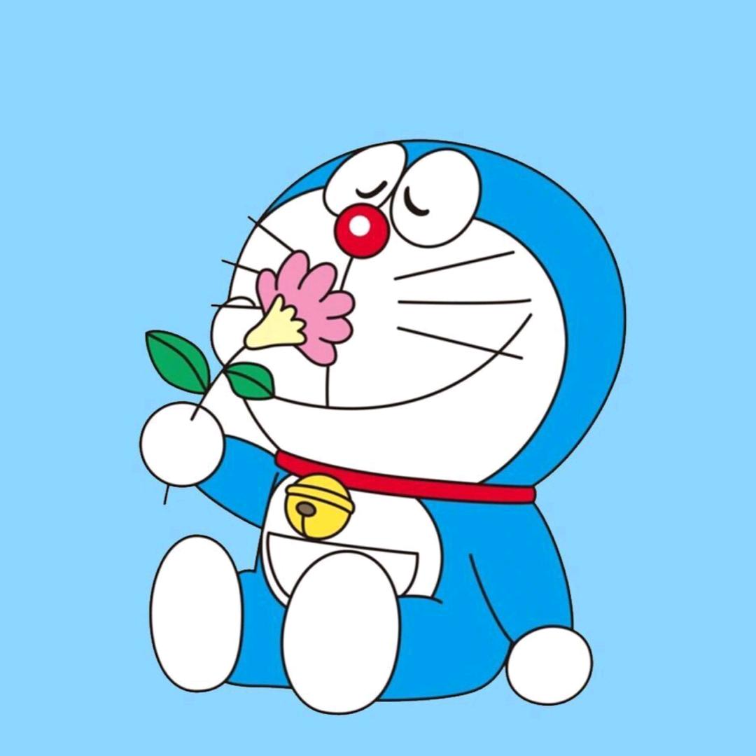 是哆啦A梦🎀