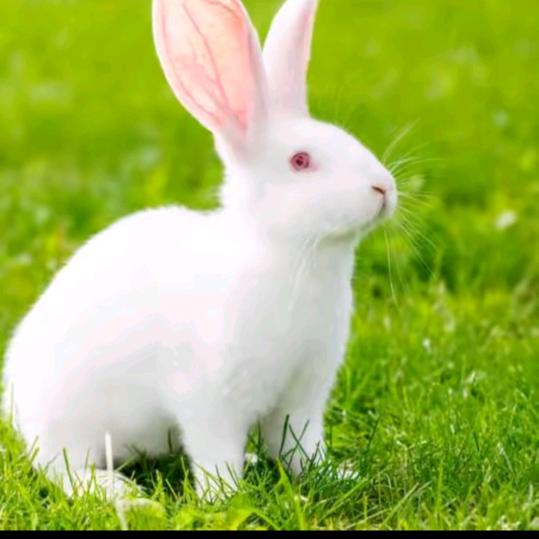 余生安好，健康喜乐