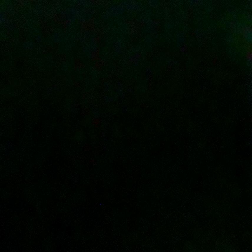 牤子