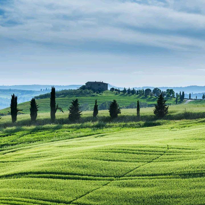 卡布奇诺[咖啡]