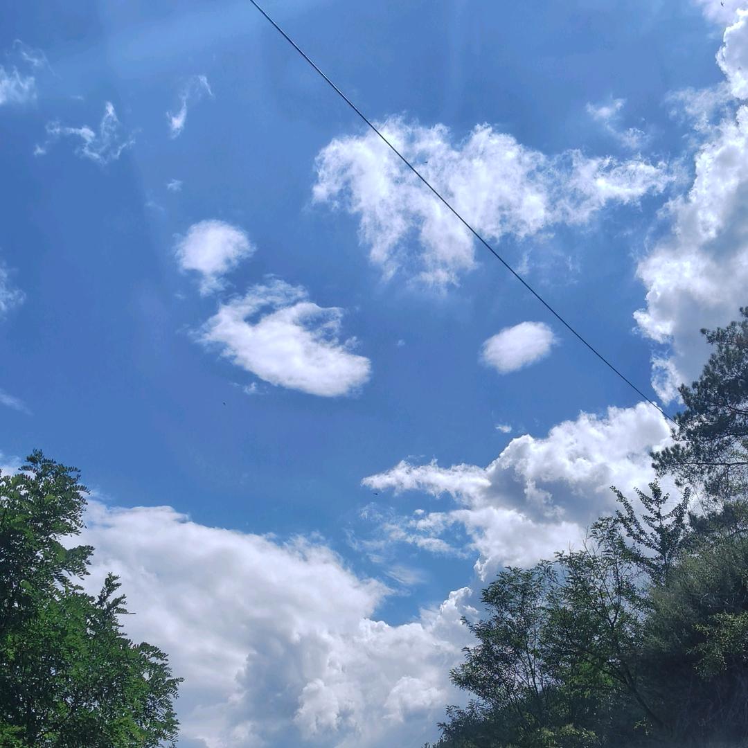 缘分天注定