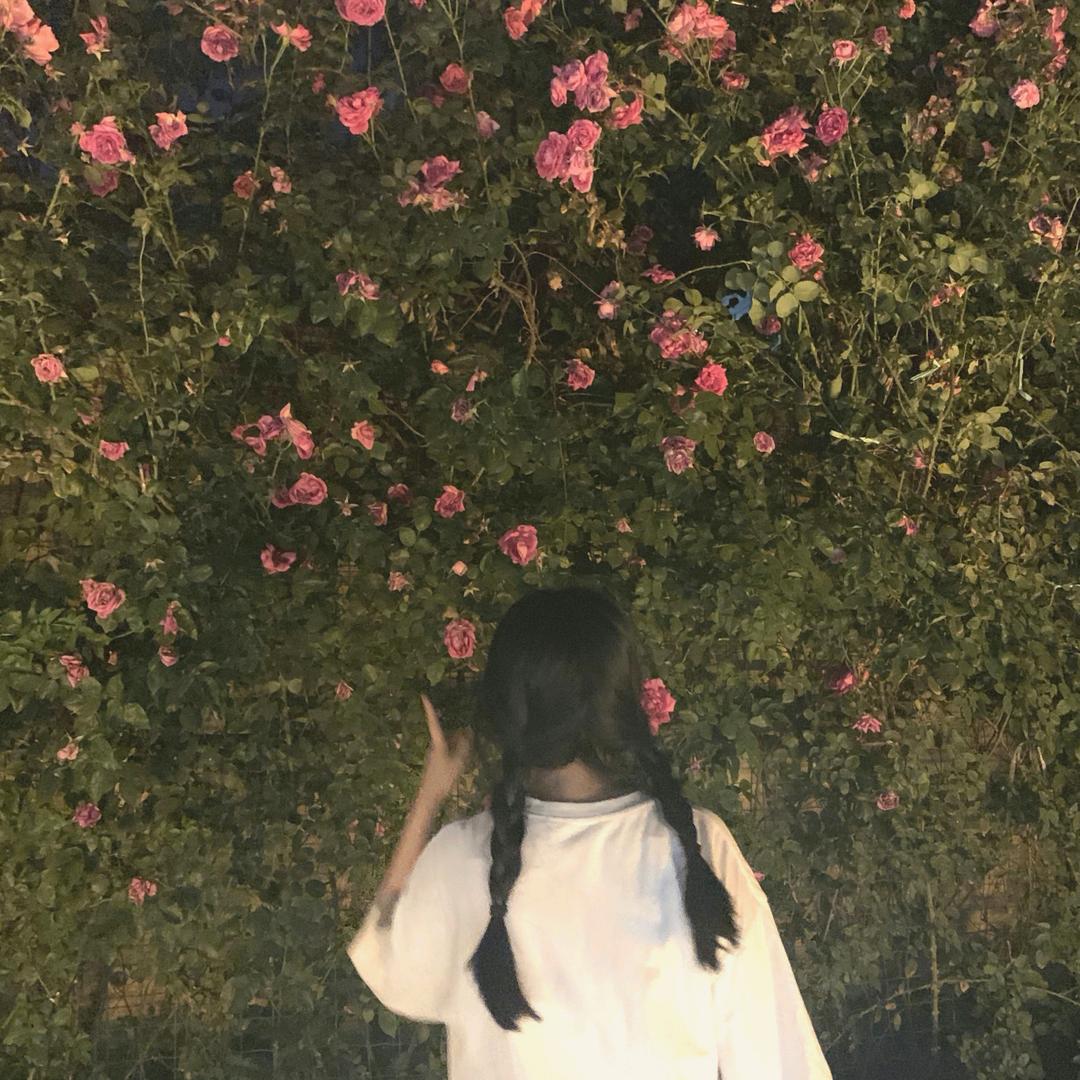 小吧啦菜头像