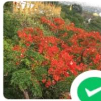 放弃我是你的错