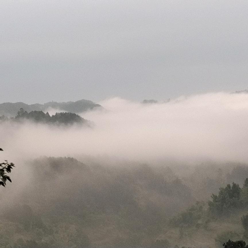 爱无悔919，晚上21：50