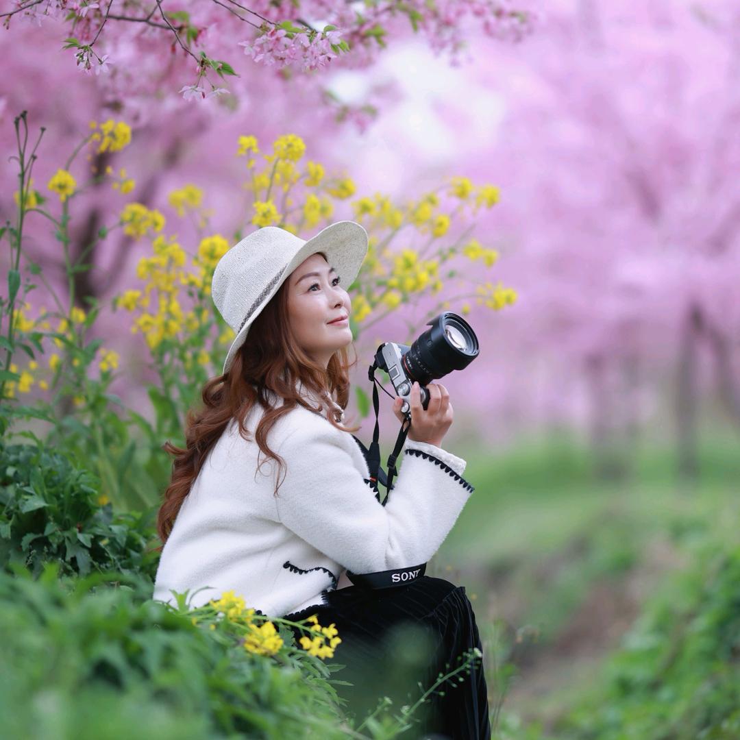 花舞拾光（约拍）