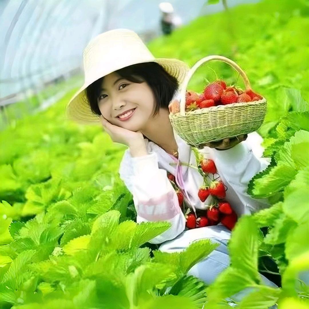 小赵农资（商品在橱窗）