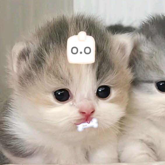 执与念