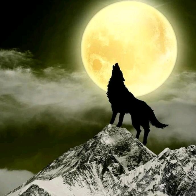 小趴菜520！！！