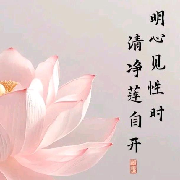 坤坤