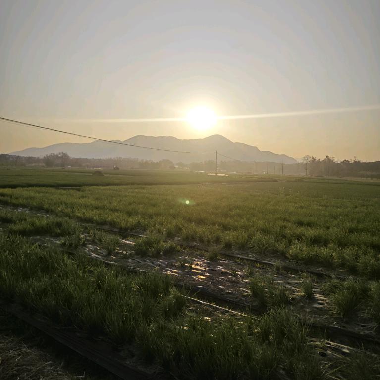 田园朱九戒
